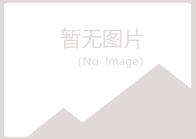 崇左江洲夏岚能源有限公司